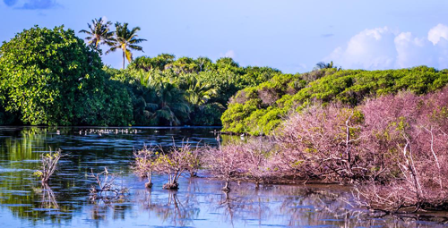 Local communities of Noonu Atoll