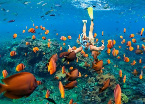 Discover the Ultimate Island Adventure with Maldives Camping