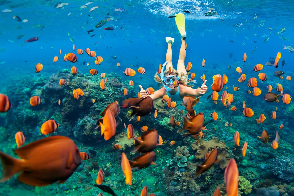 Snorkeling in Maldives