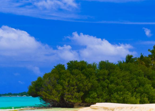 Top 5 Uninhabited Islands in the Maldives You Can Camp On